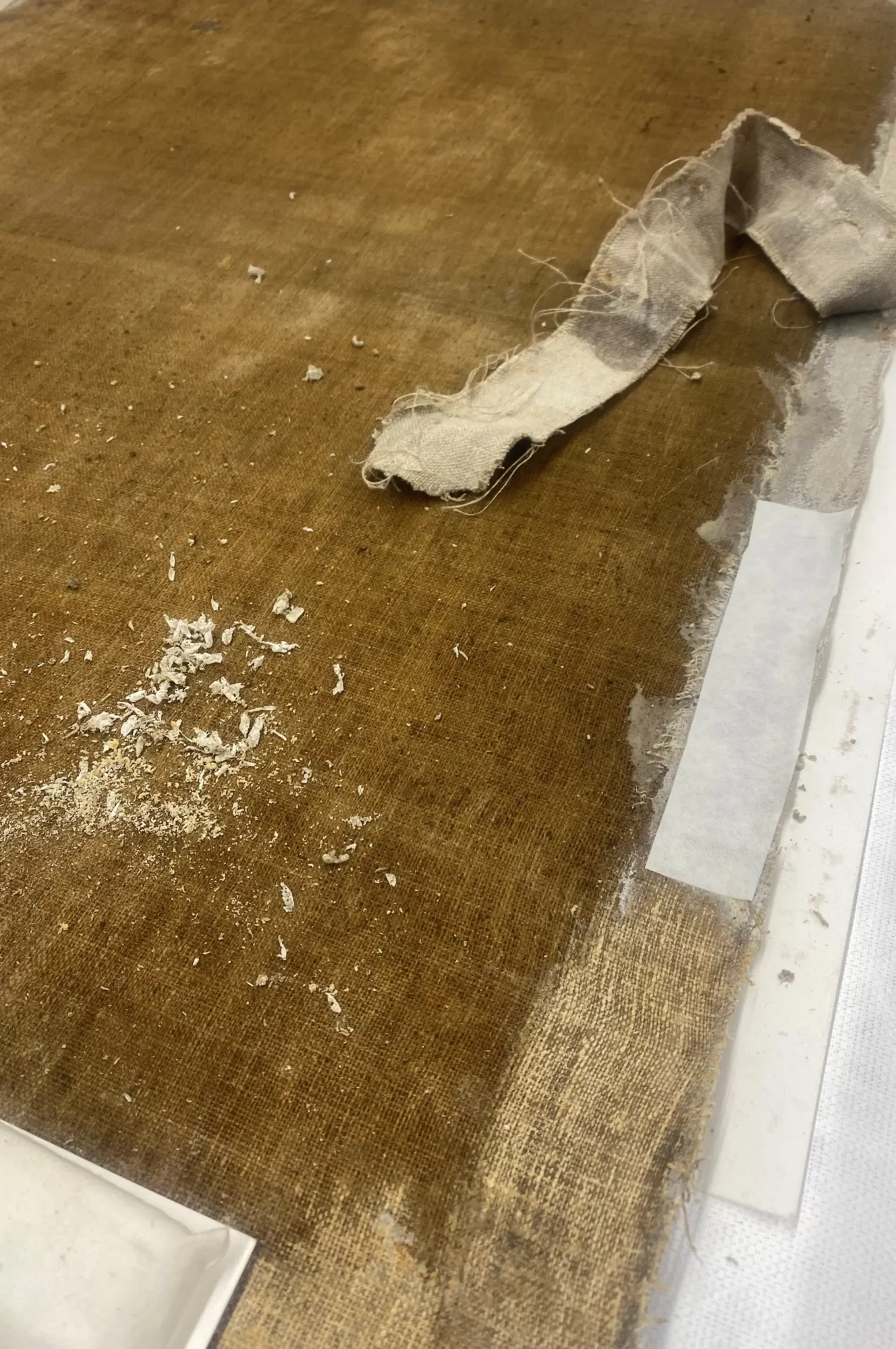 Detail van de achterzijde van het schilderij tijdens de reductie van de achtergebleven lijmresten na het verwijderen van de stripvoering.