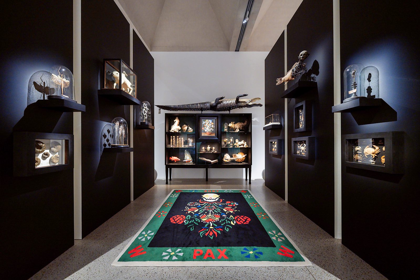 Wonder room in Garden of Delights featuring natural history specimens, curiosities, an alligator and a colourful carpet at Museum De Lakenhal.