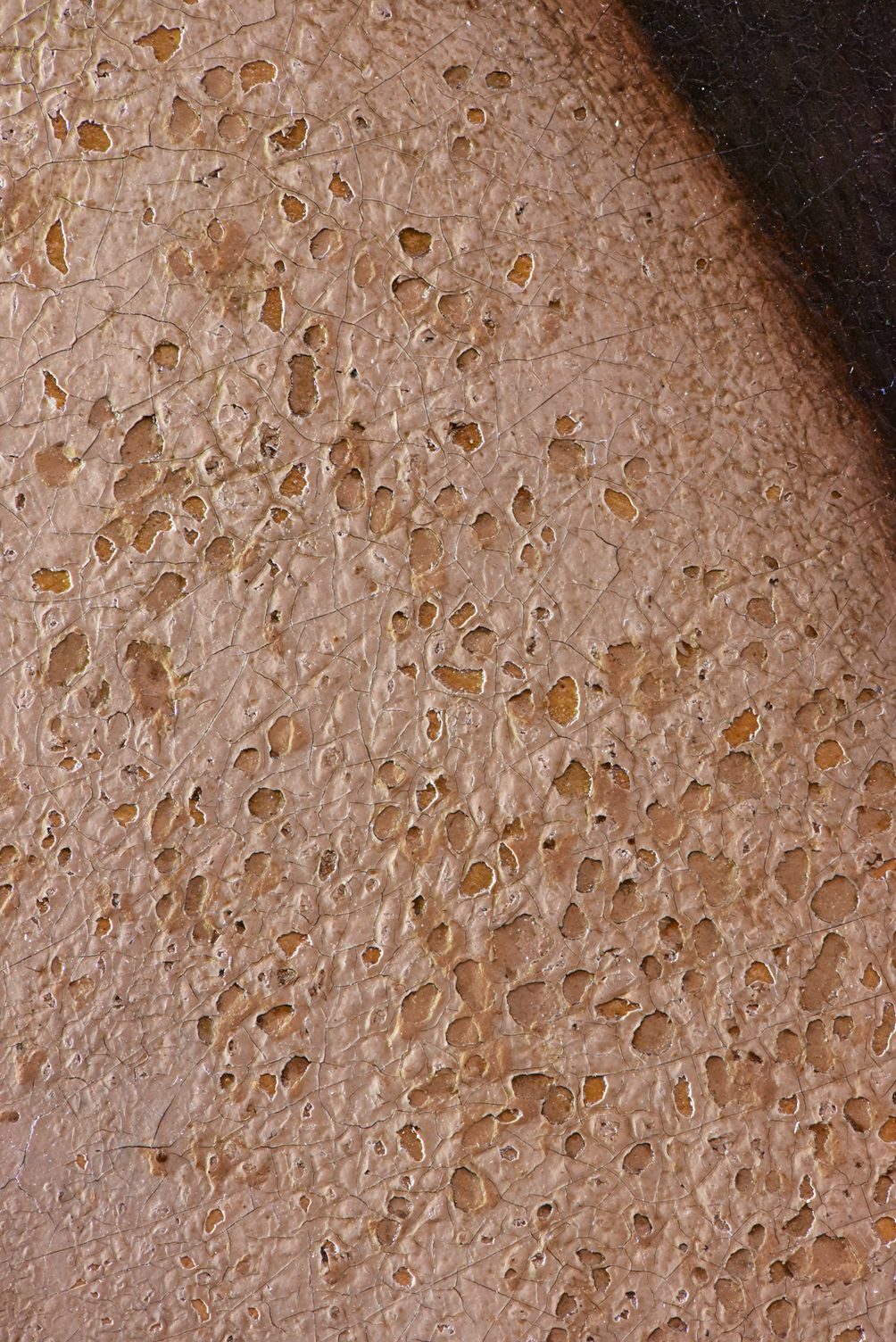 Detail van de verflaag ter hoogte van Susanna’s been in Susanna en de ouderlingen van Jan Sanders van Hemessen, met talrijke kleine kraters en beschadigingen in het verfoppervlak.